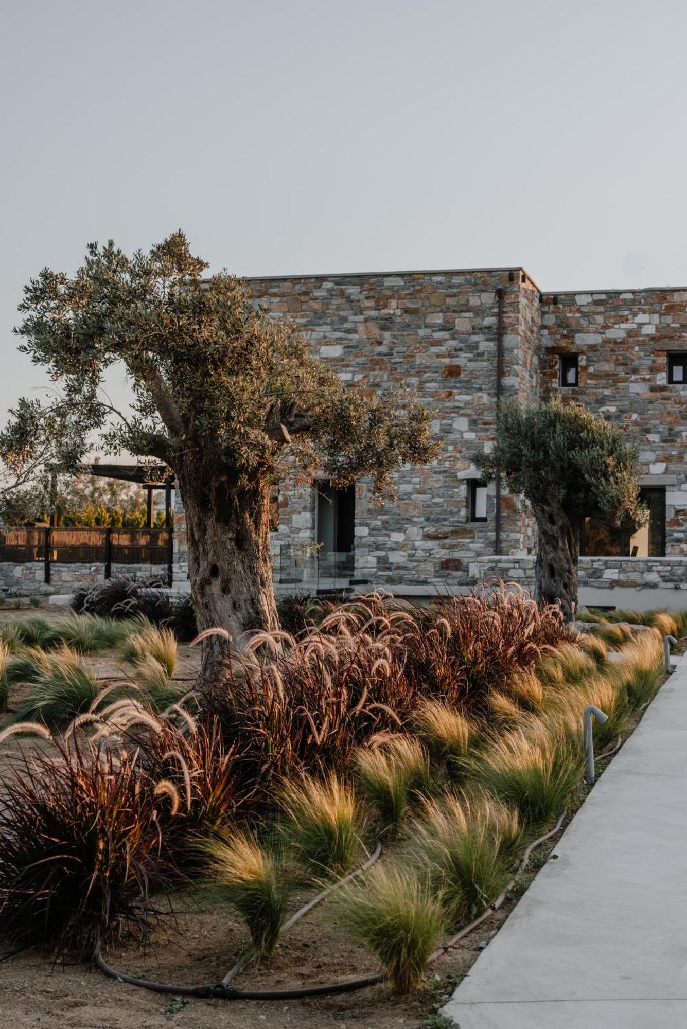 Onym Curated Villas Plaka  Bagian luar foto